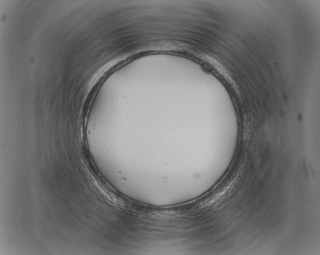 X0000062650837200601181808