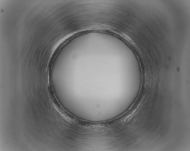 X0000062650838200601181808