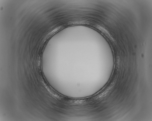 X0000062650841200601181808