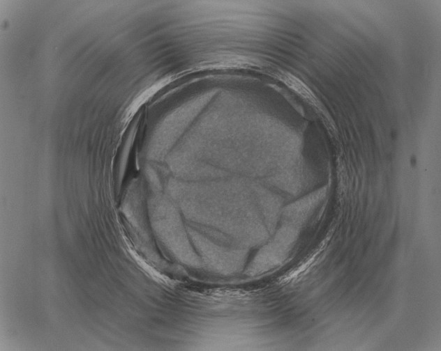 X0000062650842200601181808