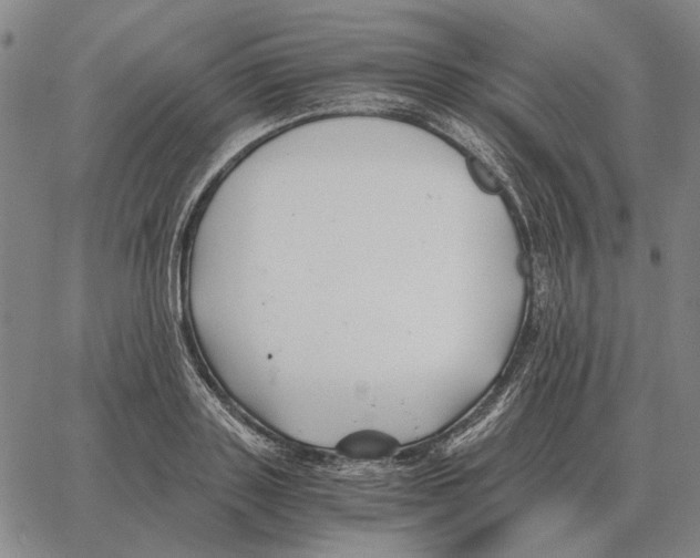 X0000062650843200601181808