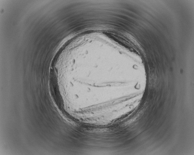 X0000062650845200601181808