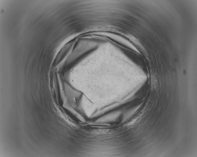 X0000062650846200601181808