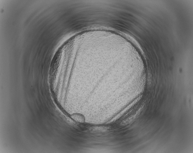 X0000062650847200601181808