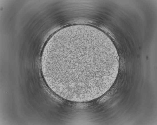 X0000062650848200601181808