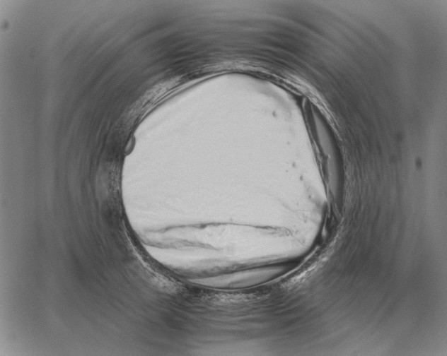 X0000062650849200601181808