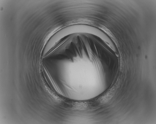 X0000062650850200601181808