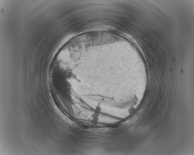 X0000062650851200601181808