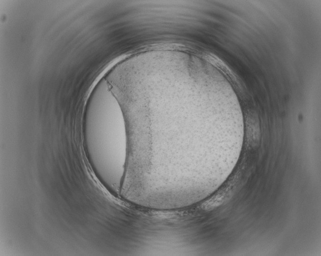 X0000062650852200601181808