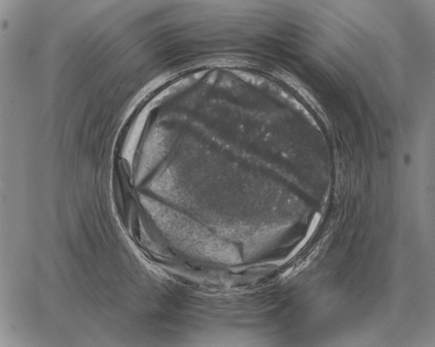 X0000062650853200601181808