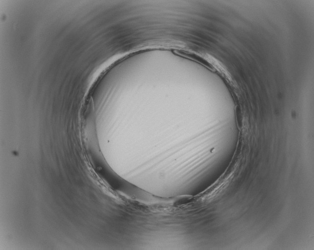 X0000062650854200601181808