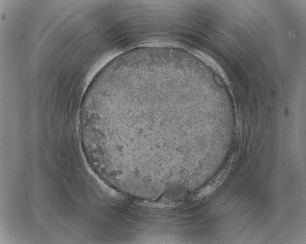 X0000062650855200601181808