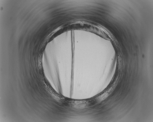 X0000062650857200601181808