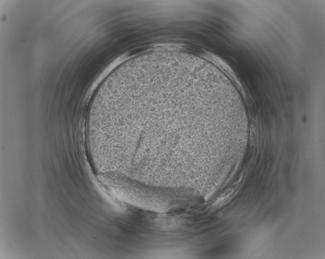 X0000062650859200601181808