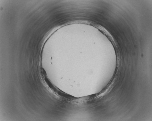 X0000062650860200601181808