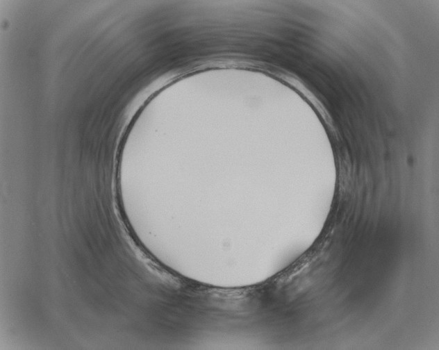 X0000062650861200601181808