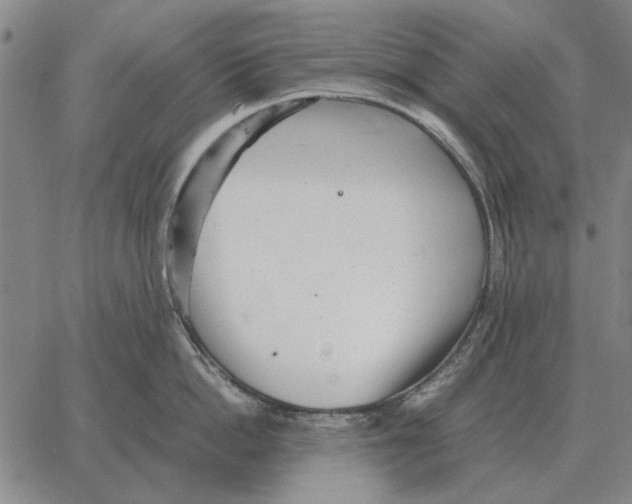 X0000062650862200601181808