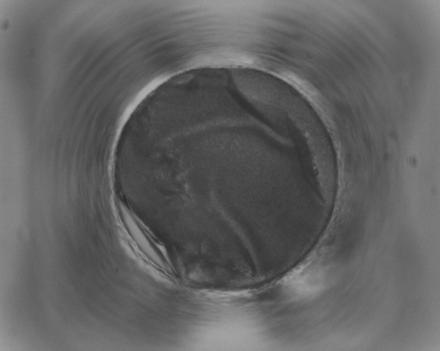 X0000062650864200601181808