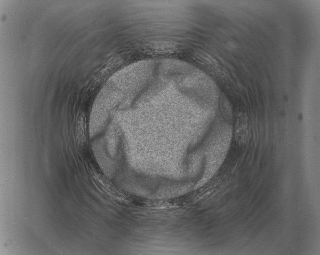 X0000062650866200601181807