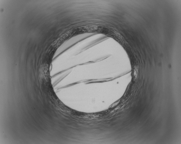 X0000062650867200601181807