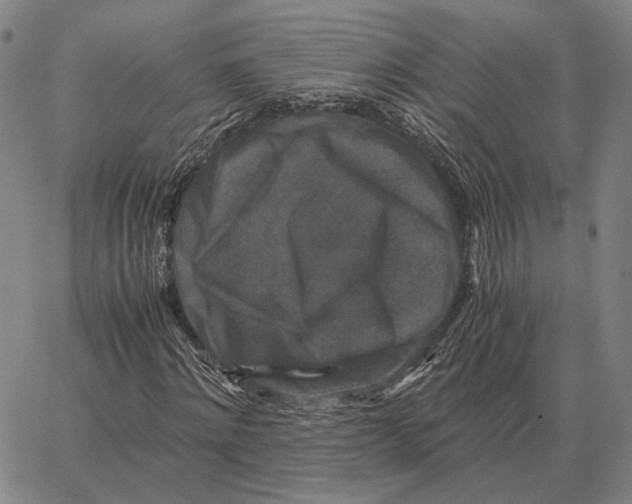 X0000062650868200601181807