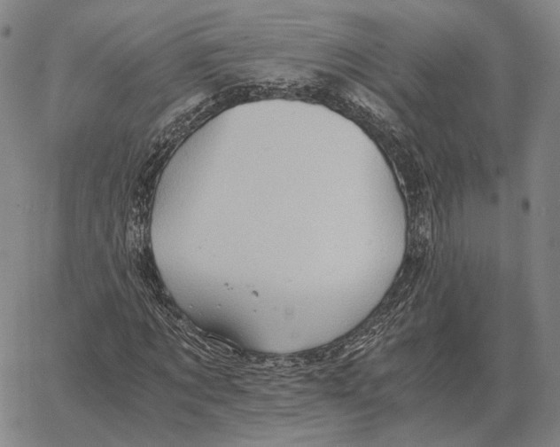 X0000062650869200601181807