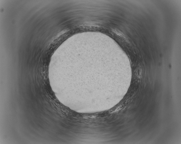 X0000062650870200601181807