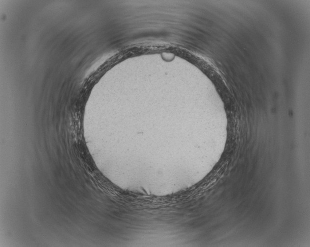 X0000062650871200601181807