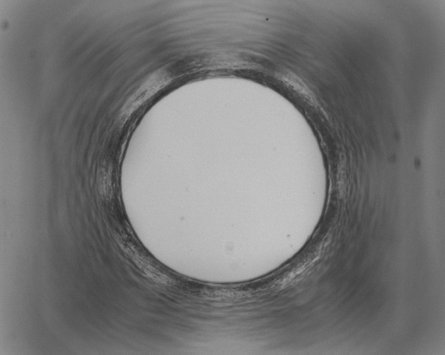 X0000062650873200601181807