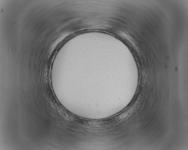 X0000062650875200601181807