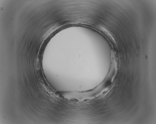 X0000062650876200601181807