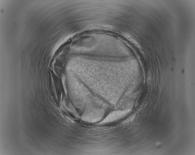 X0000062650877200601181807