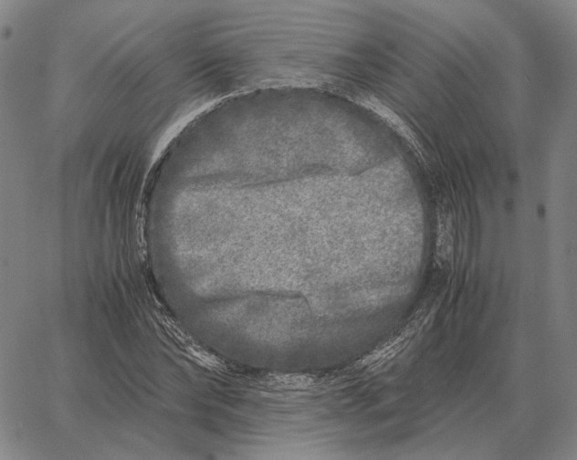 X0000062650878200601181807