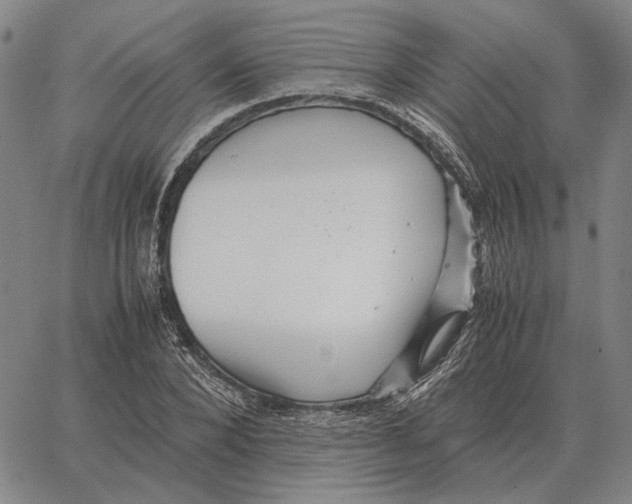 X0000062650880200601181807