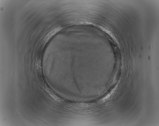 X0000062650881200601181807