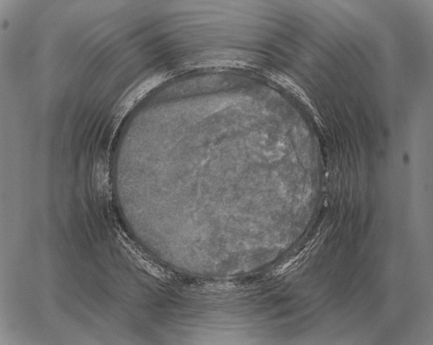 X0000062650882200601181807