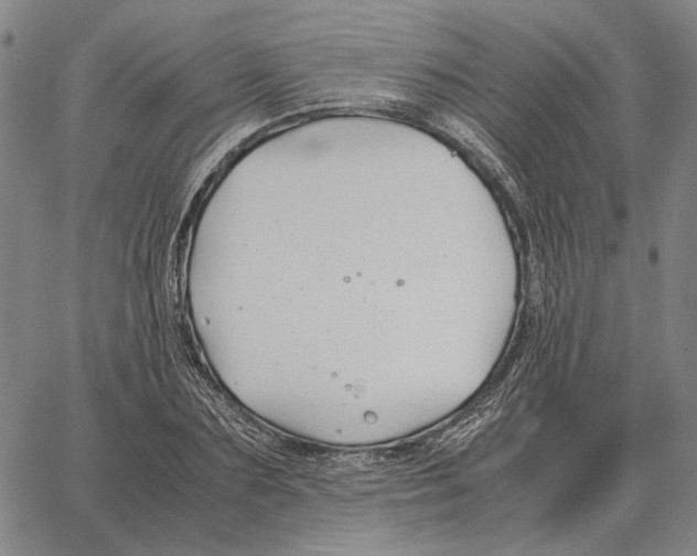 X0000062650883200601181807