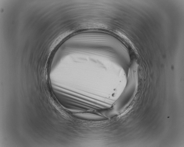 X0000062650885200601181807