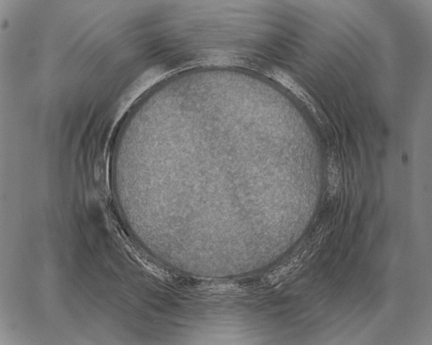 X0000062650886200601181807