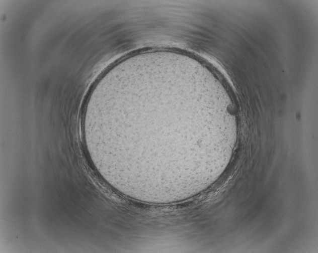 X0000062650887200601181807