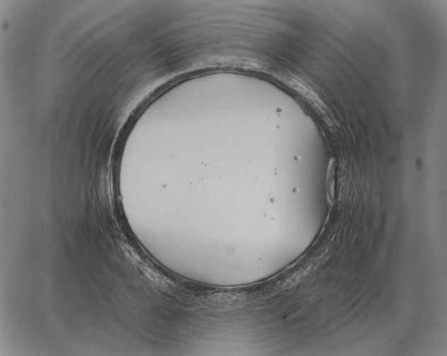 X0000062650888200601181807