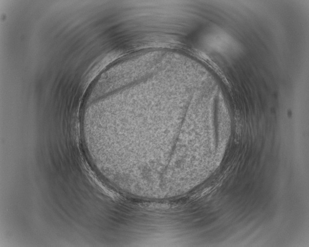 X0000062650890200601181807