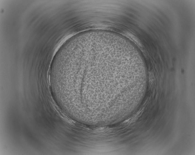 X0000062650891200601181807