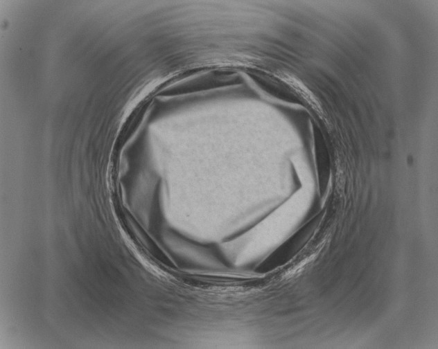 X0000062650893200601181807