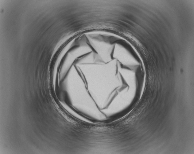 X0000062650894200601181807