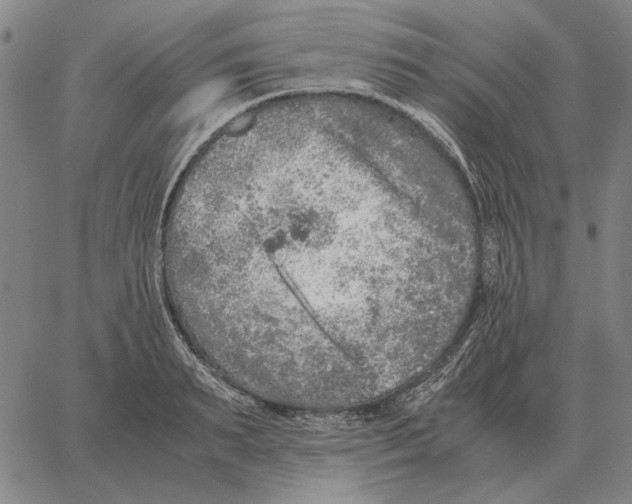 X0000062650895200601181807