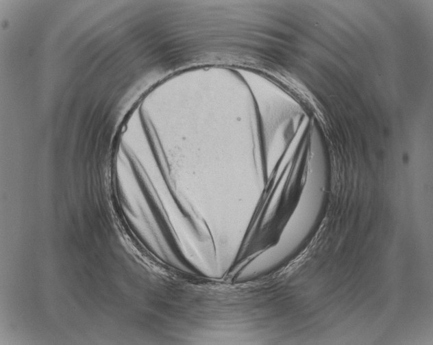 X0000062650896200601181807