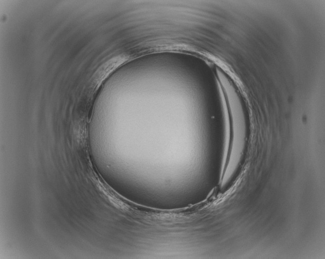 X0000062650897200601181807