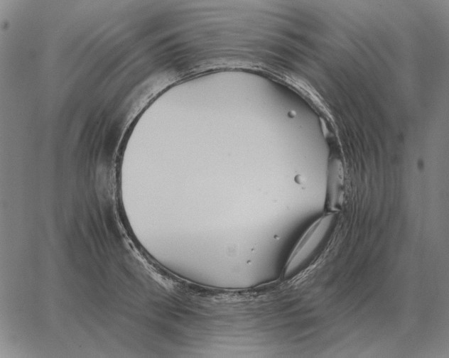 X0000062650898200601181807