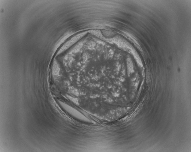 X0000062650899200601181807